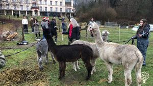 The school is for children with special needs with organic farming an lifestock