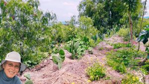 Educational Centre, Agritourism Destination, Fruit tree nursery, Mixed Farm, Community farm