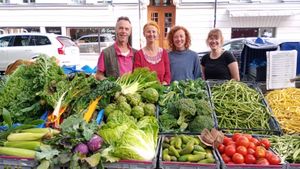 Vegetable farm, preservation and fermentaion of vegetables