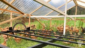 Azienda agricola biologica rigenetiva