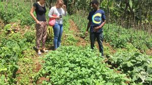 Family home and garden - rural, Farm, Family farm