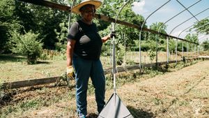 BIPOC-operated farm on ancestral land in Alabama