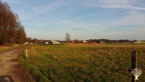 Homestead, Livestock Farm, Farm, Family farm