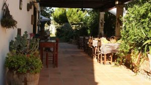 Communal Living Group