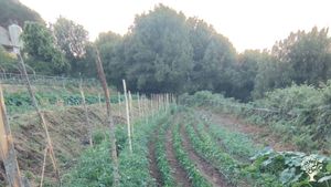 La nostra azienda è il frutto di un amore viscerale per il nostro territorio.