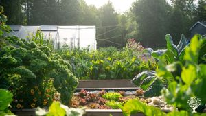Smallholding and market garden for vegetable lovers