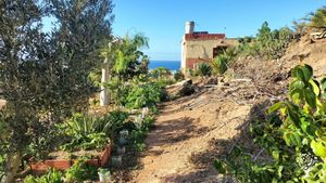Vistas de la casa y el huerto
