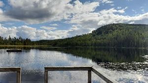 Permaculture homestead with focus on biodiversity and berry farming.
