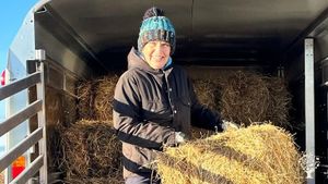 Small croft on Isle of Skye with Highland Cattle, Hebridean sheep, bees, ducks & chickens and more