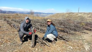 Conservation farm for bettering soil, carbon sequestration, habitat, beauty, and human journey.