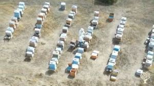 Arıcılık ve arı ürünleri ile doğal ürünler