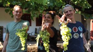 Somos una empresa familiar dedicada a la producción de vinos regenerativos