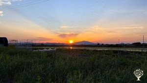 <GG138>다양한 농법을 실험하는 자연농장/A natural farm exploring diverse farming techniques