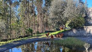 Quinta Privée avec Grand mère et Petit fils