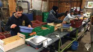 La prépa des paniers !