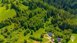 Serenity peak wants and aims to be about truth