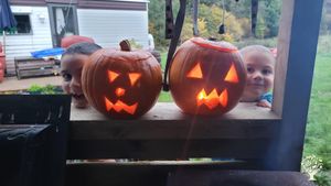 Eco lodge / wilderness adventures / homesteading