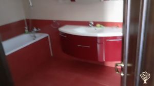 Raising and educating horses in a natural style