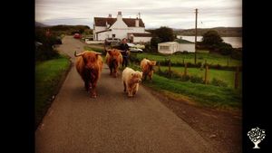 Three different Crofts across Skye