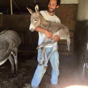 Federico