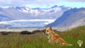 Potatofarm with a stunning view