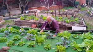 Huerta