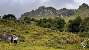 Ferme collective associative