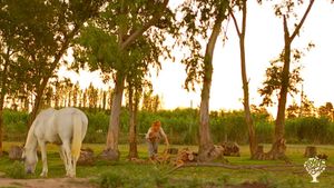 Agritourism Destination