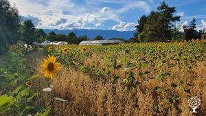Ferme agroécologique et solidaire