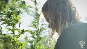 Quinta com produção regenerativa de cânhamo, frutas e legumes biológicos