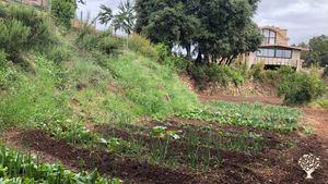 Casa rural con huerto familiar ecológico y bosque. Centro de retiros de yoga y otras actividades..