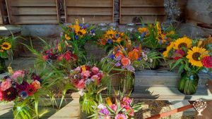 Ich betreibe ein Selbstpflückblumenfeld /Kürbisproduktion und Pferdehaltung