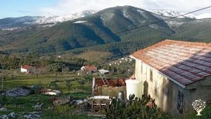 Organic farm for growing fruits and vegetables and reforestation