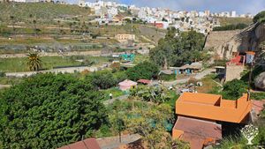 Permaculture Finca near Las Palmas de Gran Canaria