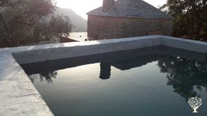 Olive grove and homestead on Thassos Island