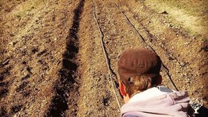 Società Agricola il Doccione tra la Verna e Camaldoli