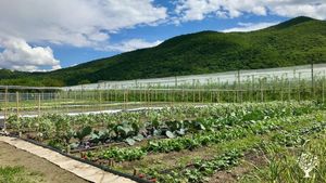 Agricoltura Rigenerativa in Valle Varaita