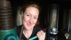 Natural wine and olive oil production
