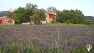 Azienda Biodinamica nell'Appennino Tosco Emiliano