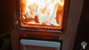 Apiary, agriculture, etc