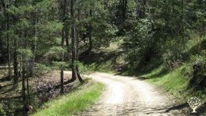 A Rustic Campground and Event Venue