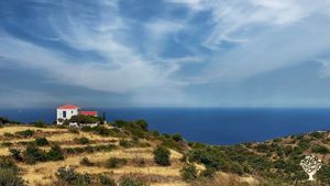 Family home and developing organic food forest and garden