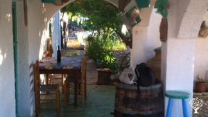 Family home and garden - rural, Agritourism Destination, Vineyard, Farm