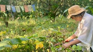Vegan-oriented animal sanctuary and sustainable farm