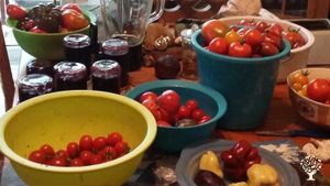 Biobauenhof am Elbe-Saale Radwanderweg