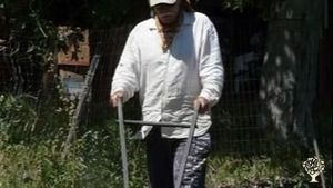 Homestead, Orchard, Vegetables, Market / CSA, Remote study opportunities