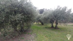 Micro ferme en agroécologie dans les Alpes de Haute Provence