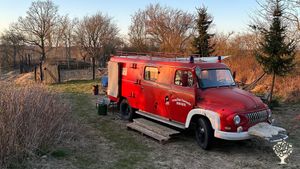 "Small organic farm with sheep, pigs, chickens, and pets, producing wine and food."