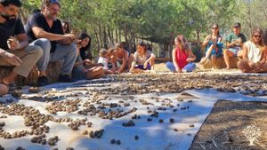 Agricampeggio, masseria didattica, associazione culturale, agroforestazione, olivicoltura, orto natu