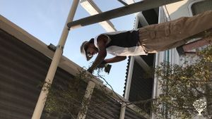 New organic farm and research center focused on foraging and self reliance.